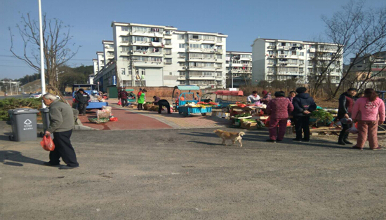 雙創(chuàng)雙修、美化環(huán)境