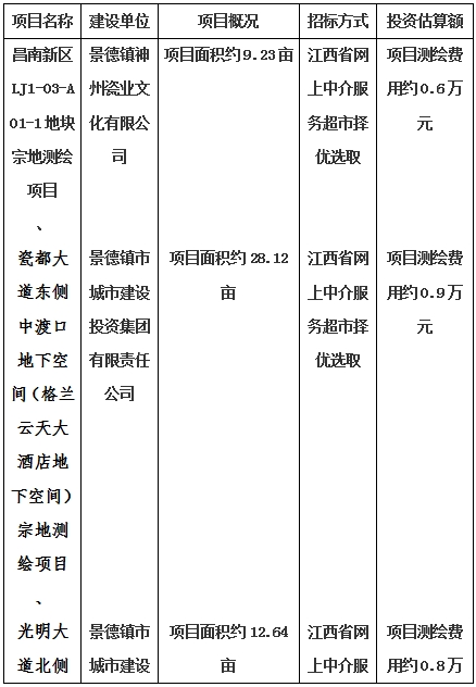 景德鎮(zhèn)市昌南新區(qū)LJ1-03-A01-1地塊、瓷都大道東側(cè)中渡口地下空間（格蘭云天大酒店地下空間）、光明大道北側(cè)利民路西側(cè)地下空間（青少年宮地下空間）、規(guī)劃二路北側(cè)地下空間地塊二（加速基地地下空間）、規(guī)劃二路北側(cè)地下空間地塊一（加速基地地下空間）、景德大道南側(cè)天寶橋西側(cè)地塊、景興大道東側(cè)如意路北側(cè)地下空間(社會(huì)公共服務(wù)